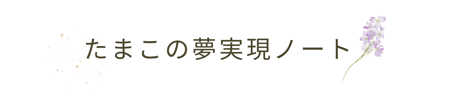 たまこの夢実現ノート